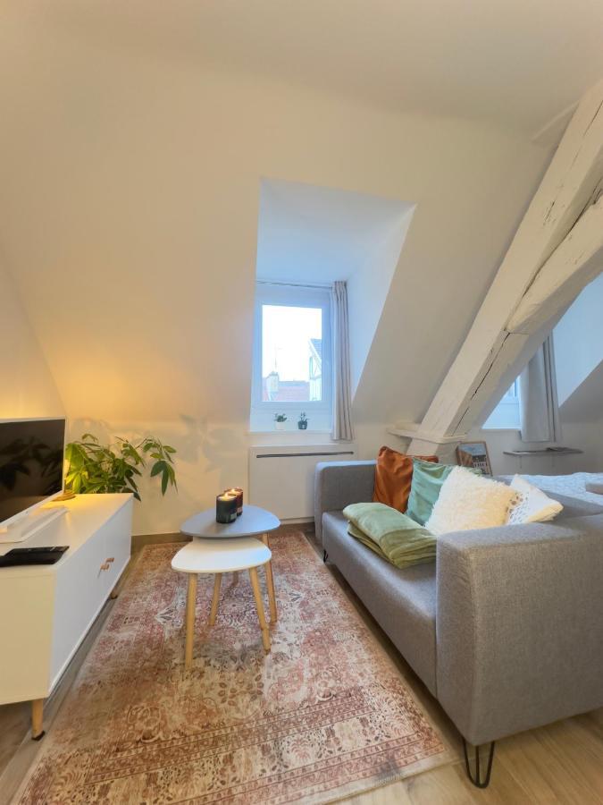 Le Charme Dubois Apartment Dijon Bagian luar foto