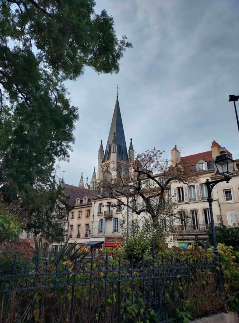 Le Charme Dubois Apartment Dijon Bagian luar foto